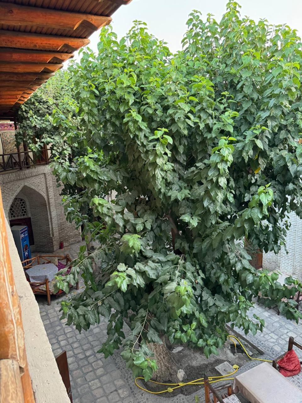 Ohun 18Th Century Caravansarai 부하라 외부 사진